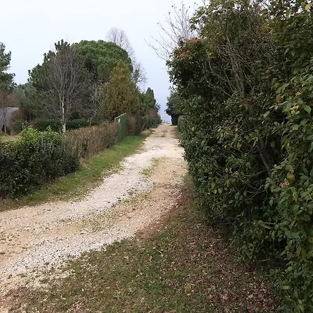 Campingplads Savudrija Alberi Crveni Vrh