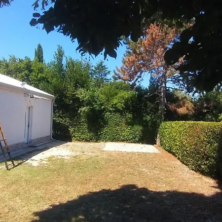 Camping Savudrija Alberi Crveni Vrh